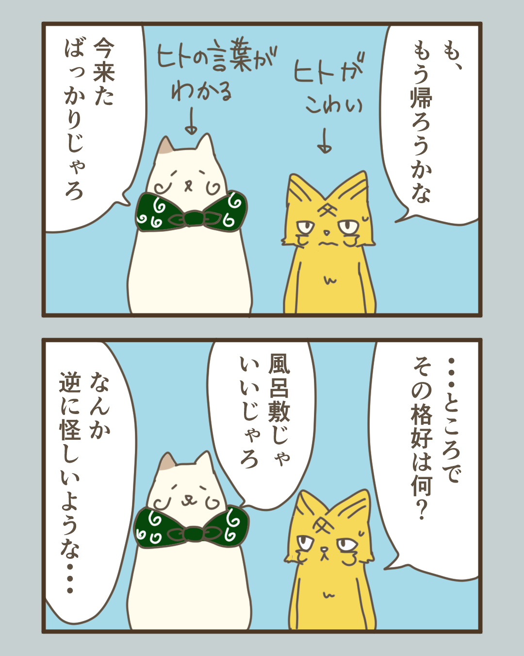 野良猫にとって人間はどんな生き物に見える？

